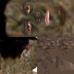 Face_Brown_03.jpg