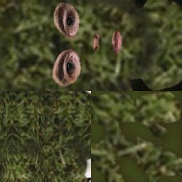 Face_Green_06.jpg