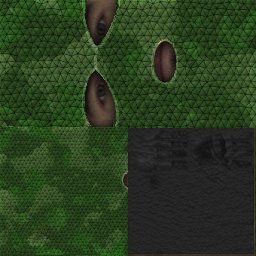 Face_Lizard_01.jpg
