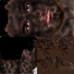 Face_Nightcamo.jpg