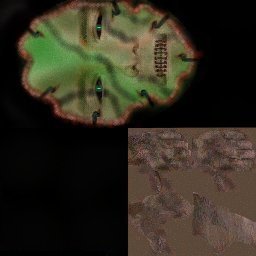 Face_NotHUman.jpg