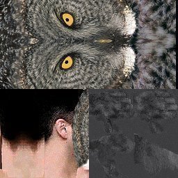 Face_Owl.jpg