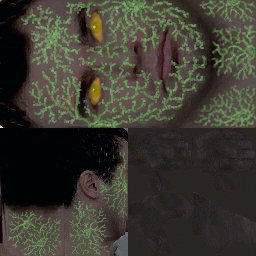 Face_The_Plague.jpg