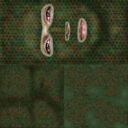 Face_Woodcamo_03.jpg