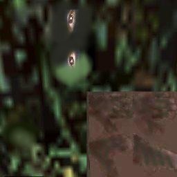 HISFace_Greensky.jpg