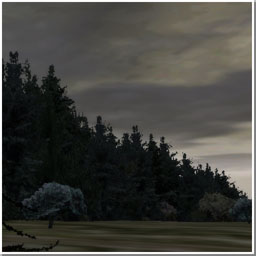 The Forest by Mandoble